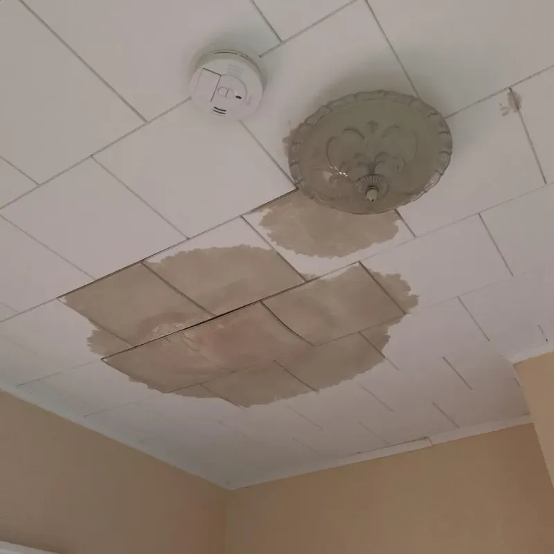 Ceiling Water Damage Repair in Ellis County, OK