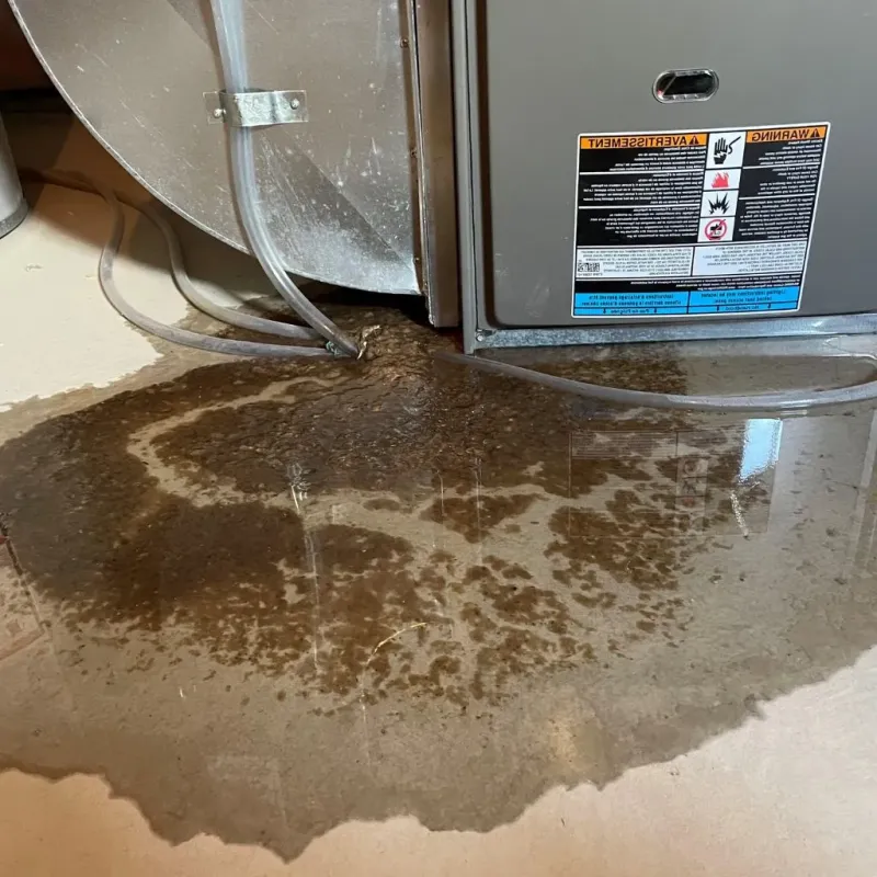 Pipe Burst and Leak Restoration in Ellis County, OK