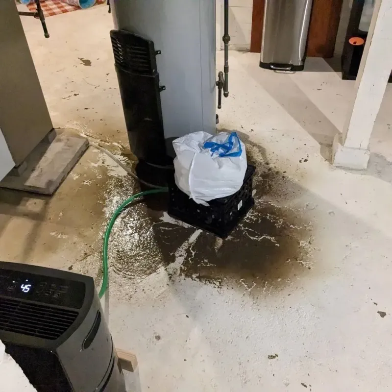 Sewage Backup Cleanup Service in Ellis County, OK